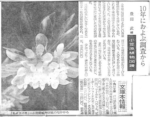 1981年9月28日 神奈川新聞