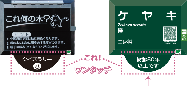 オプションラベル