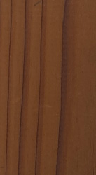 杉 塗装(ウォールナット色)